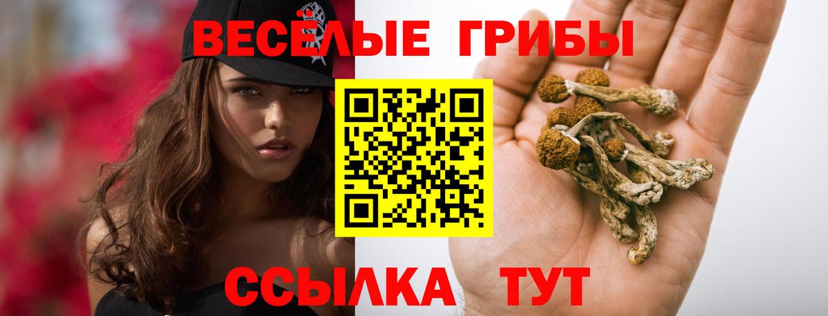 как найти закладки  Вход с VPN  Верхний Уфалей  Галлюциногенные грибы ЛСД  Псилоцибиновые грибы мицелий 